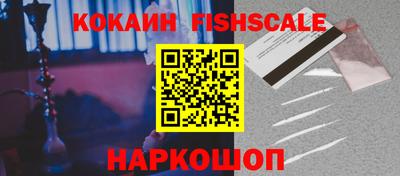 гашик Камышлов