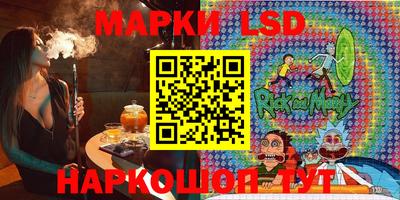 гашик Камышлов