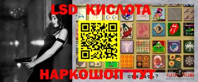 гашик Камышлов