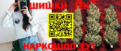 гашик Камышлов