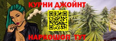 гашик Камышлов