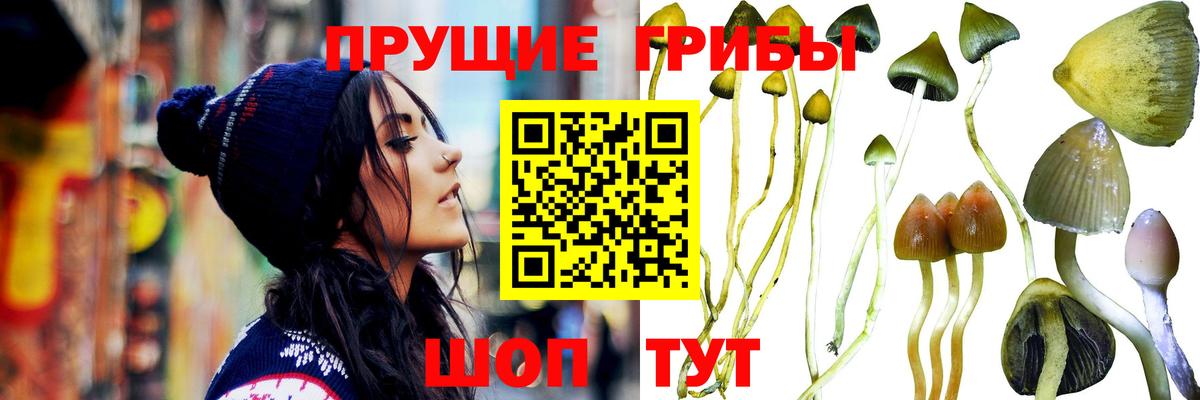 Галлюциногенные грибы Psilocybe  Вход с VPN  Краснокаменск  Псилоцибиновые грибы ЛСД 
